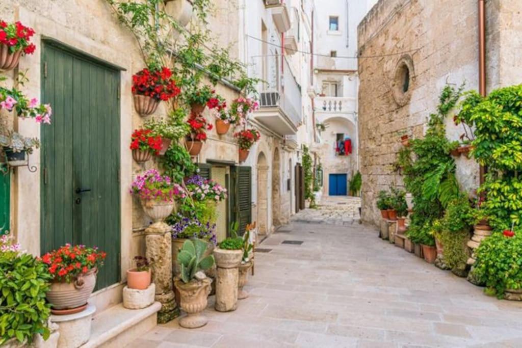 Il Mare In Citta. Appartamento Vista Mare Monopoli Luaran gambar